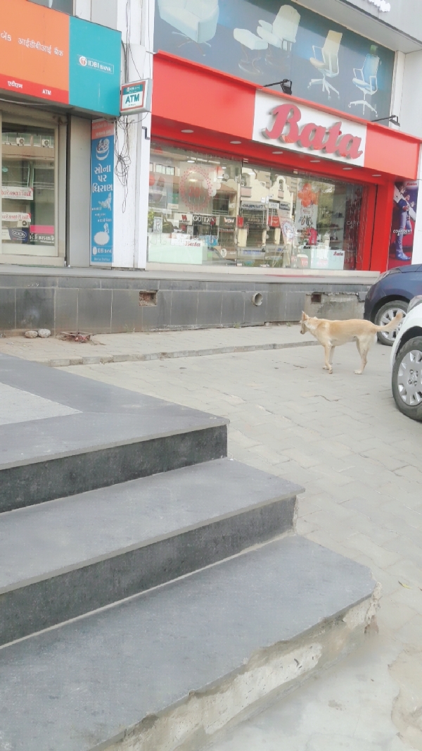 Bata showroom in andheri west on sale