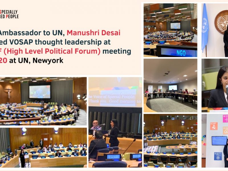 VOSAP Ambassador to UN, Manushri Desai presented VOSAP thought leadership at UN HPLF(High Level Political Forum) meeting on July 20, 2023 at UN, New York.